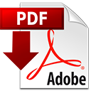 Download as PDF